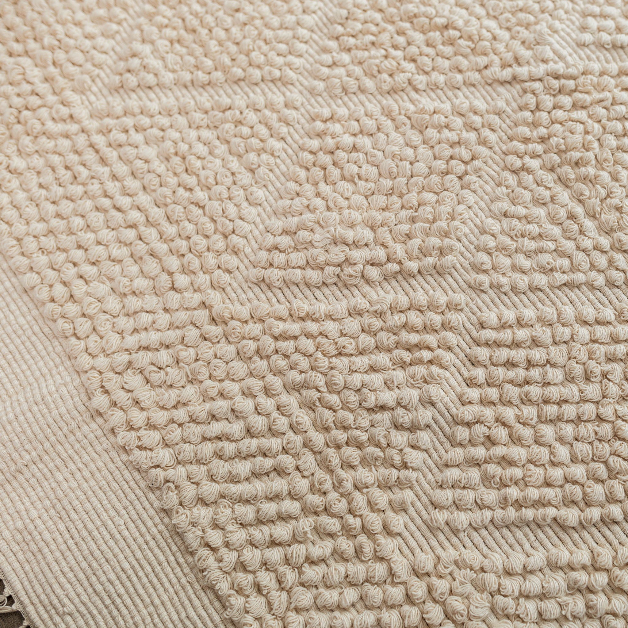 Hand - Woven Neutral Large Rug (100x150cm) - Willow Tree DecorSF149