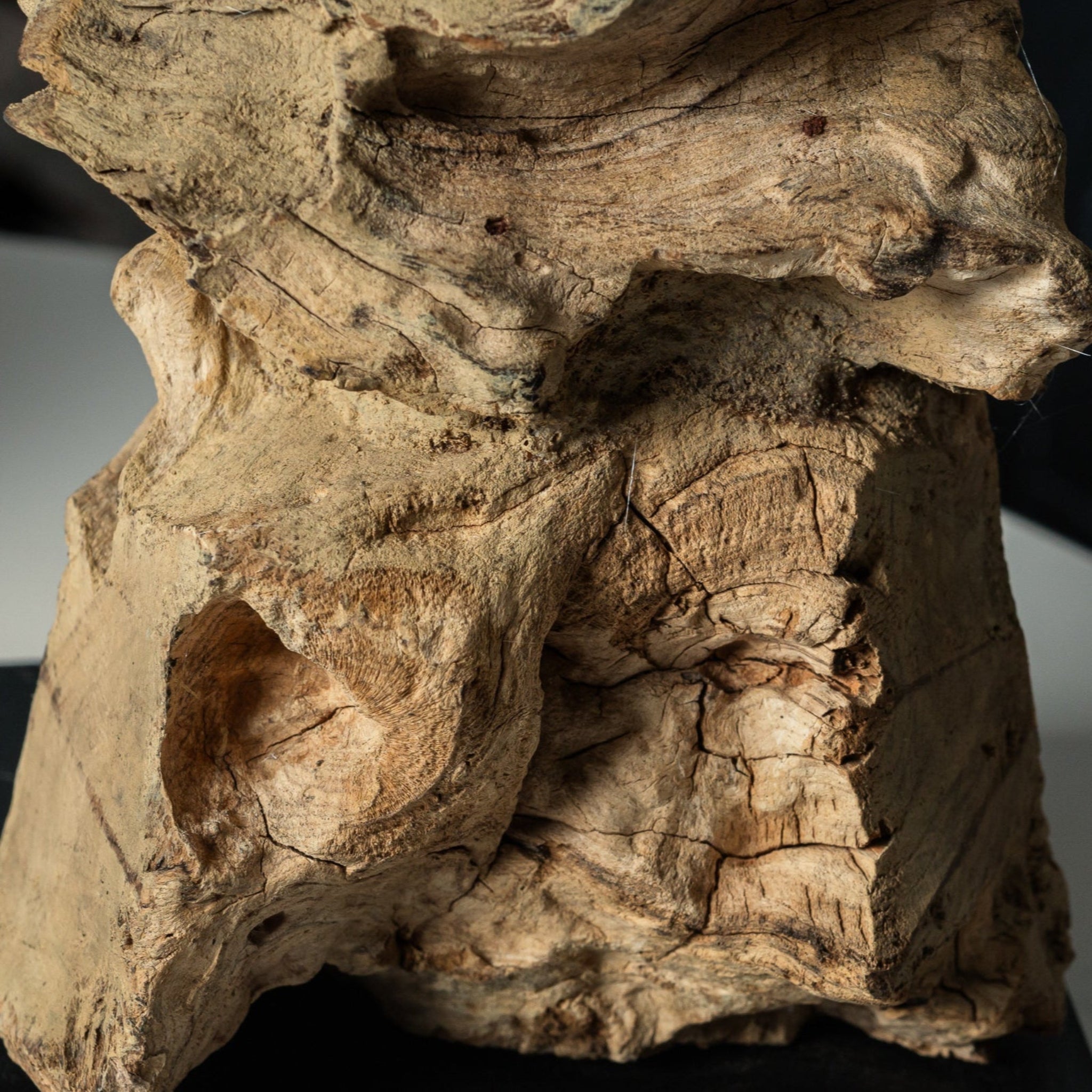 Eloria Table Lamp - Willow Tree DecorLi157