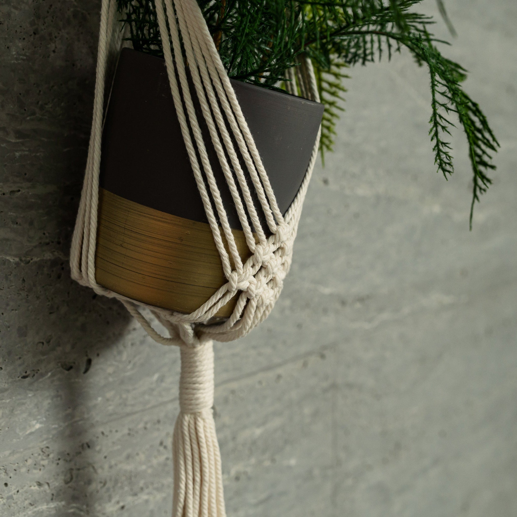 Macrame Plant Wall Hanger - Willow Tree DecorSF209