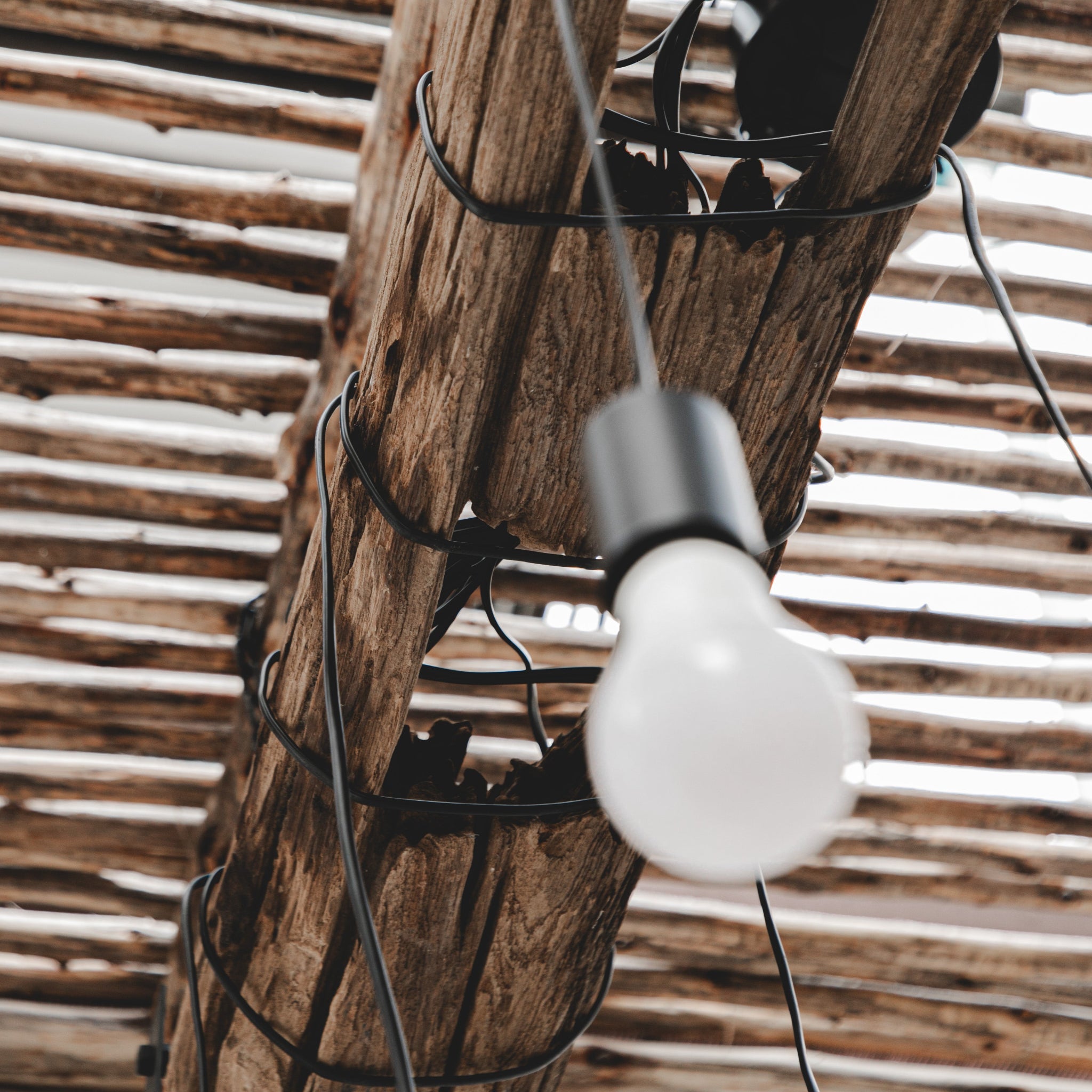 Seraphina Chandelier - Willow Tree DecorLi171